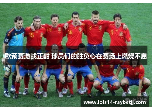 欧预赛激战正酣 球员们的胜负心在赛场上燃烧不息