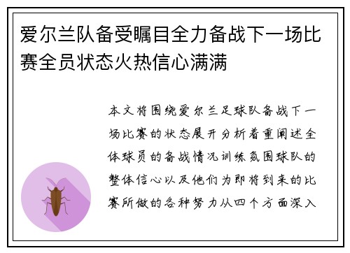 爱尔兰队备受瞩目全力备战下一场比赛全员状态火热信心满满