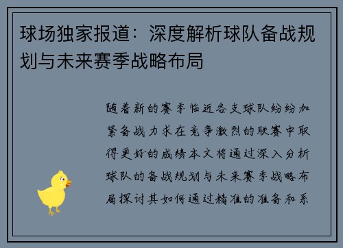 球场独家报道：深度解析球队备战规划与未来赛季战略布局