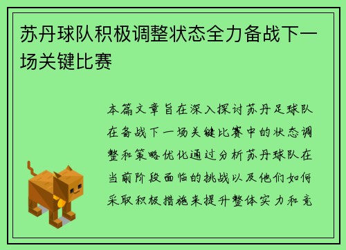 苏丹球队积极调整状态全力备战下一场关键比赛