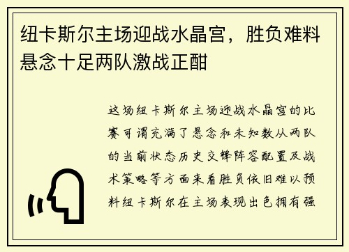 纽卡斯尔主场迎战水晶宫，胜负难料悬念十足两队激战正酣