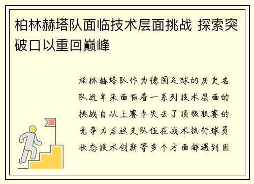 柏林赫塔队面临技术层面挑战 探索突破口以重回巅峰